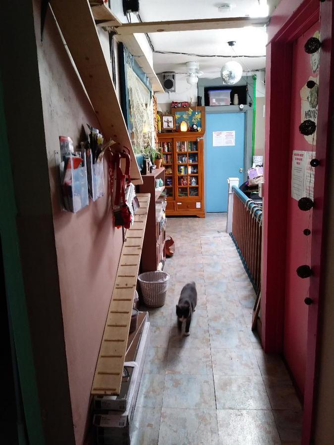Niki'S International Hostel San Diego Zewnętrze zdjęcie